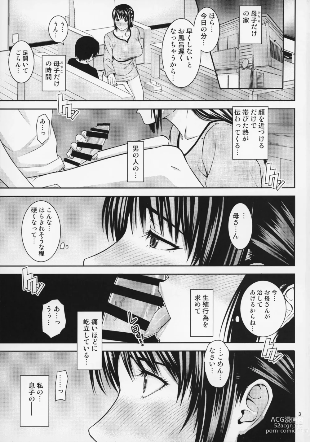 Page 4 of doujinshi Boketsu o Horu 20