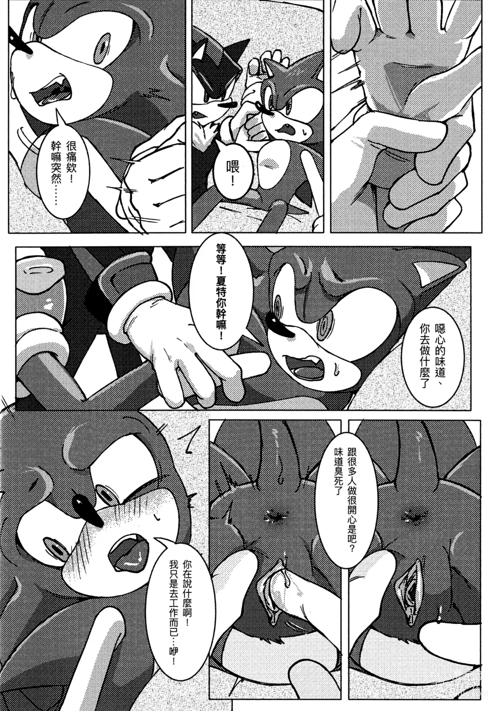 Page 13 of doujinshi Sonic Ranbou!! (decensored)