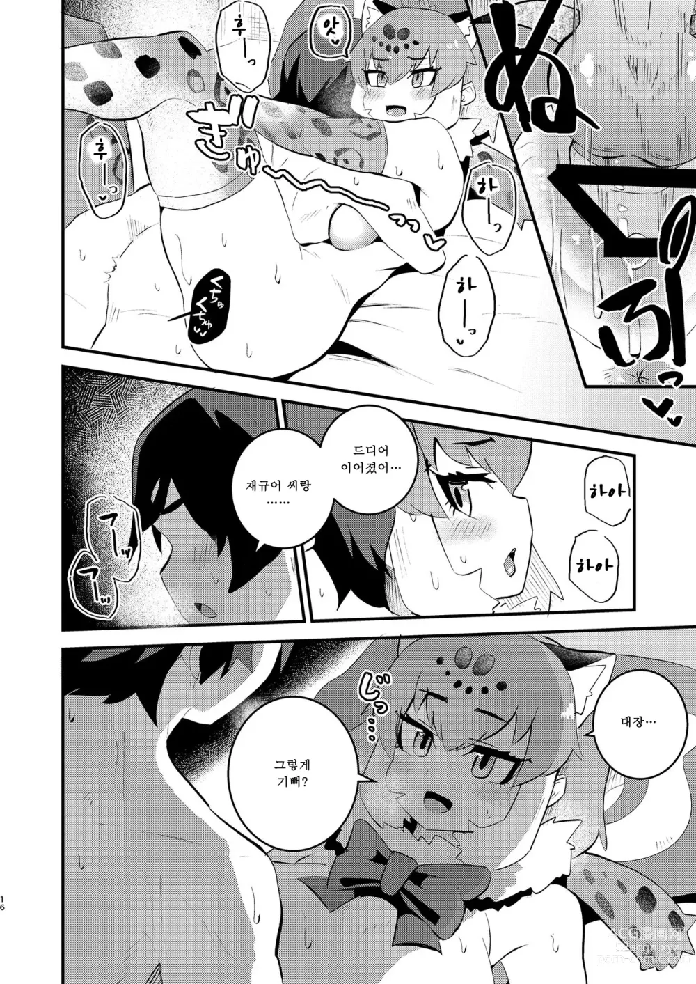 Page 16 of doujinshi Jaguar-san to Naisho Ecchi