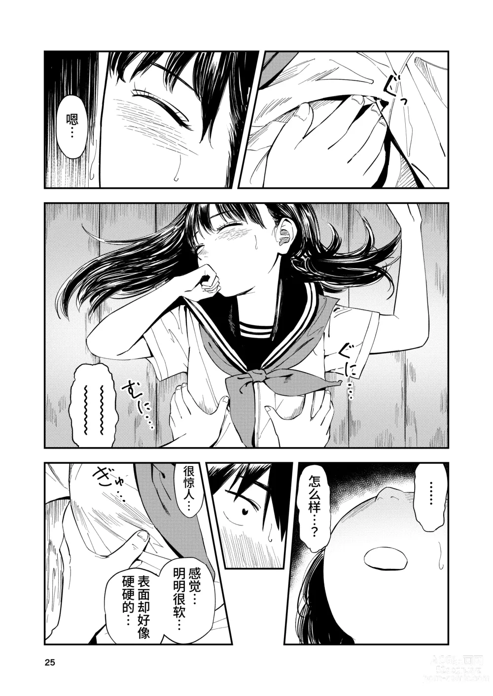 Page 25 of doujinshi Isshou Wasurerarenai Sex