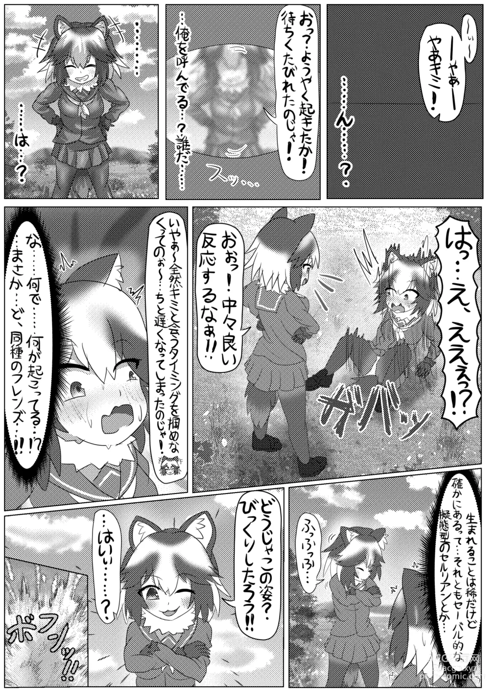 Page 15 of doujinshi Boku mo Friend ~Kimi wa Kaeru Basho~ Kemono Friends TSF Goudou 3