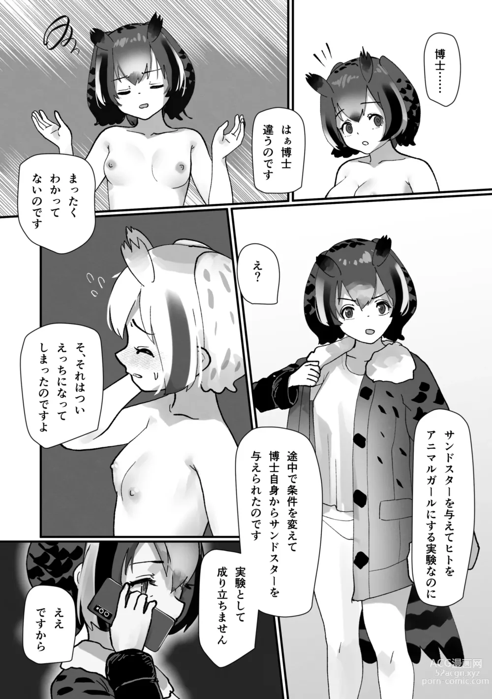 Page 99 of doujinshi Boku mo Friend ~Kimi wa Kaeru Basho~ Kemono Friends TSF Goudou 3