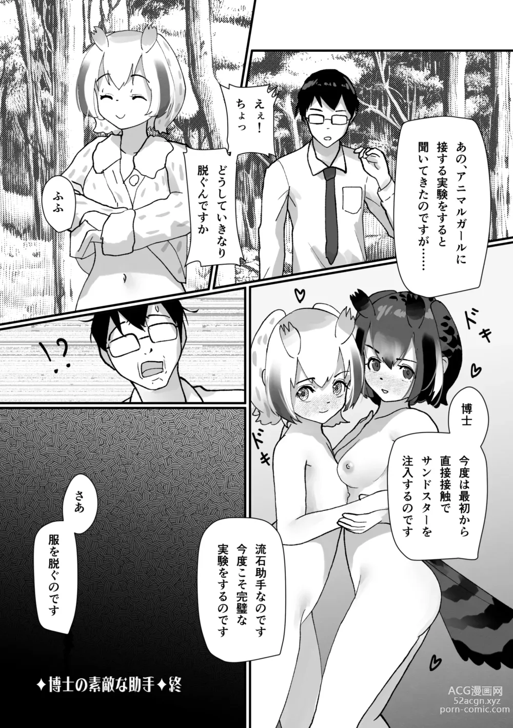 Page 100 of doujinshi Boku mo Friend ~Kimi wa Kaeru Basho~ Kemono Friends TSF Goudou 3