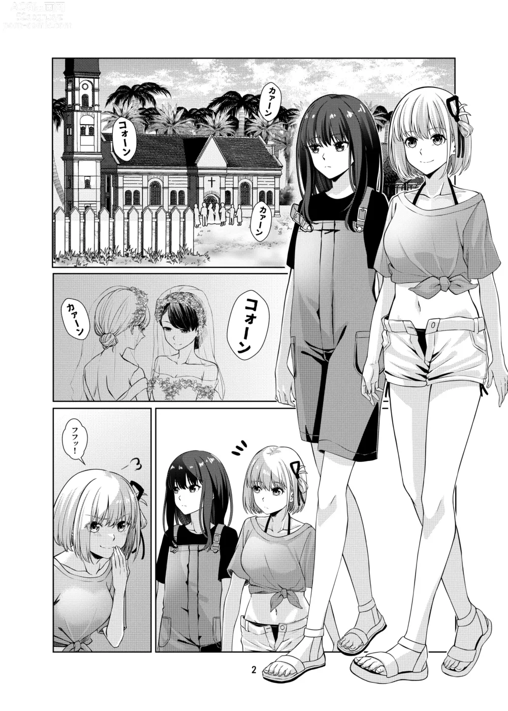 Page 3 of doujinshi Watashi no Yome ni Narimasenka?