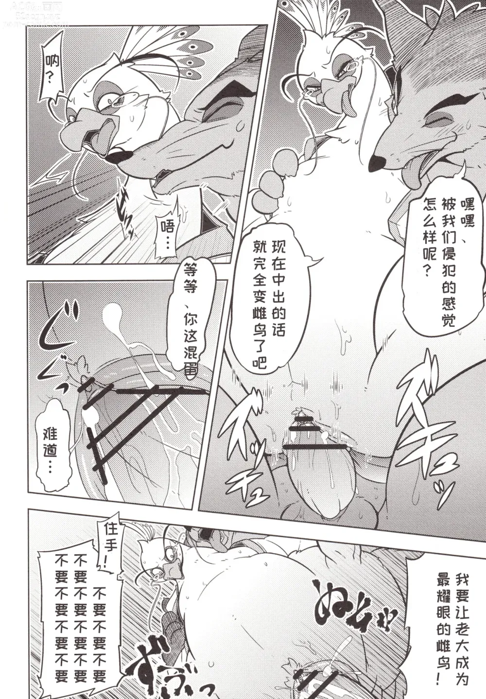 Page 13 of doujinshi 狼群鸟笼