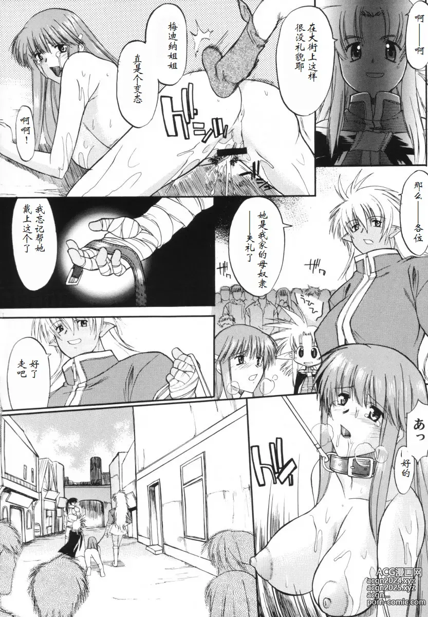 Page 41 of doujinshi HOOLIGANISM File/10 RECORD OF ALDELAYD ExhibitionDX2