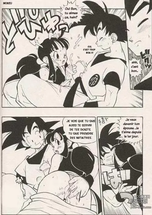 Page 4 of doujinshi DBZ The True Story