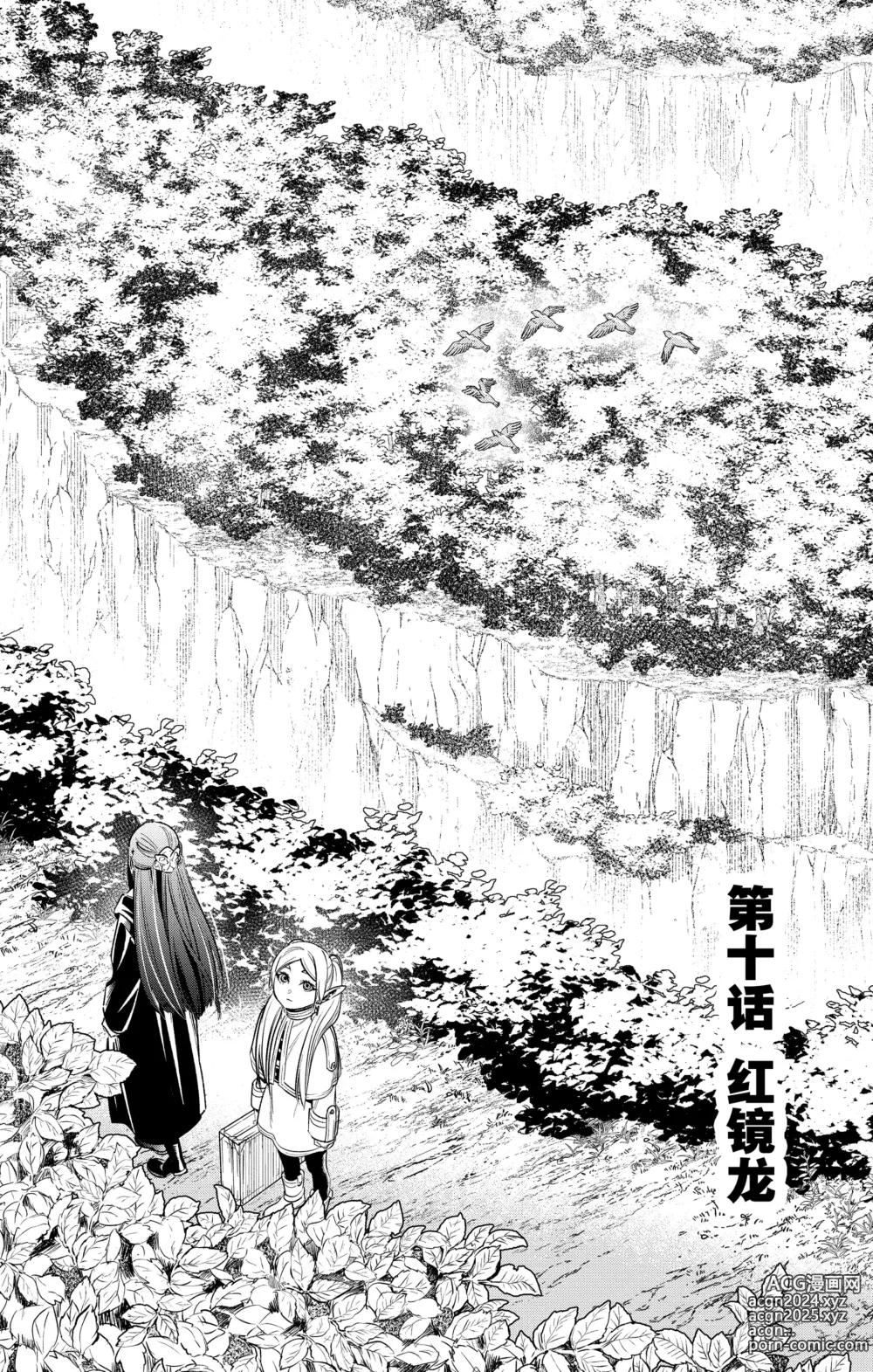 Page 42 of manga Frieren: Beyond Journeys End(Sousou no Frieren)(葬送的芙莉莲)[chinese][中文]_02