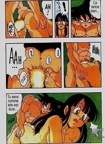 Page 10 of manga DragonBall H