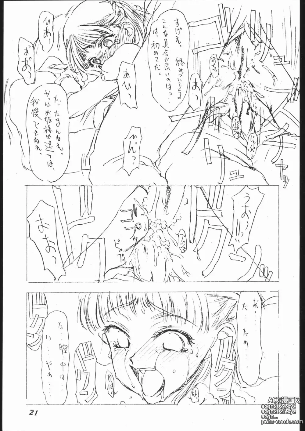 Page 20 of doujinshi Dai Ichi Oujo Konoeshidan 2 - The First Royal Princess Of Guards Division 2