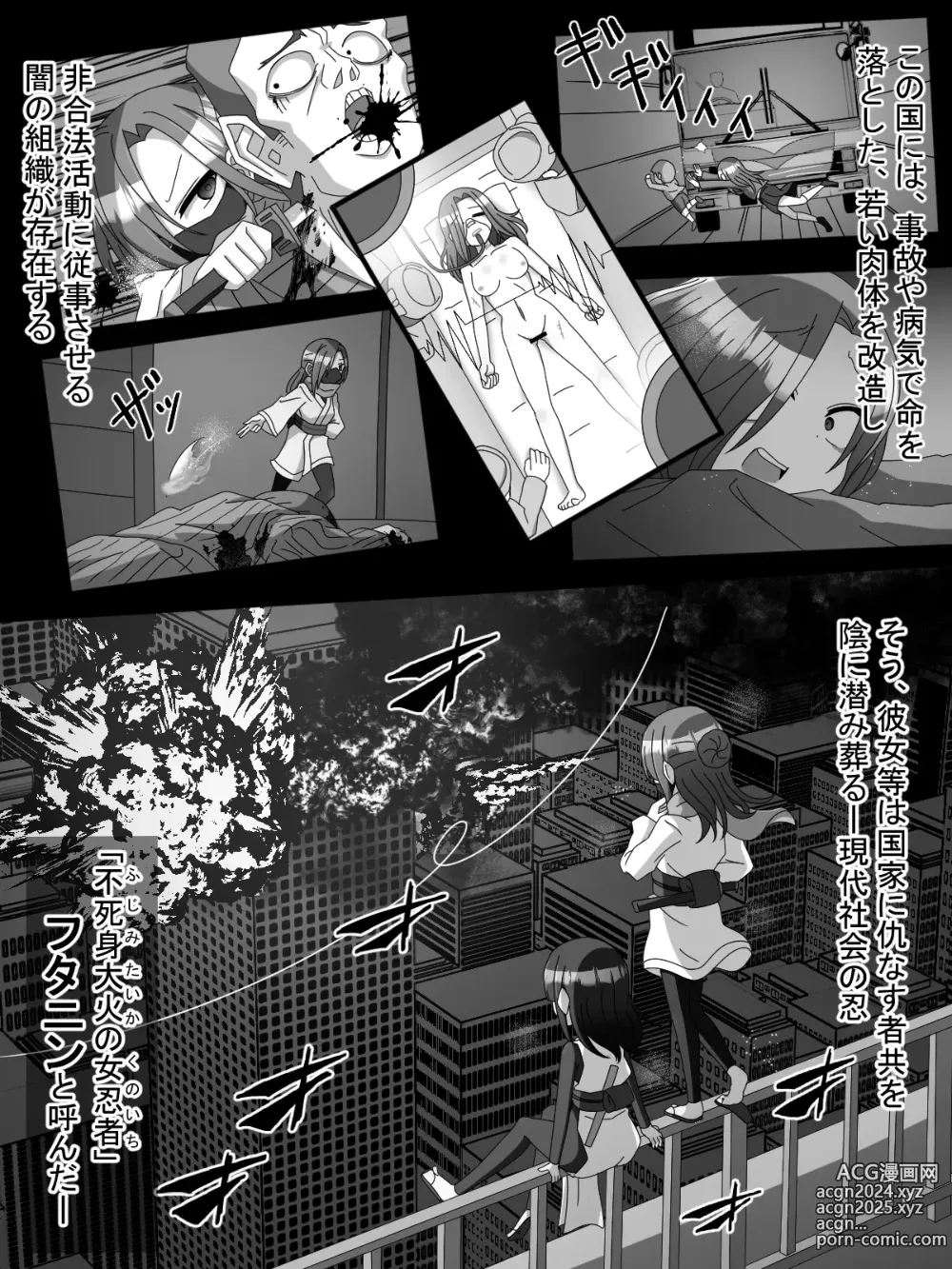 Page 3 of doujinshi Fujimi Taika no Onna Ninja FutaNin Tsubaki