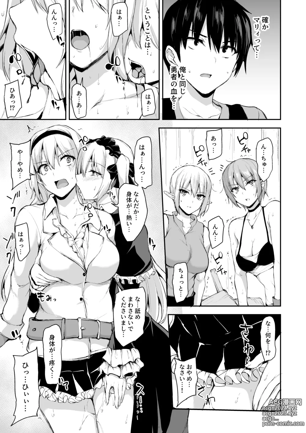 Page 24 of doujinshi Isekai Harem Monogatari 7