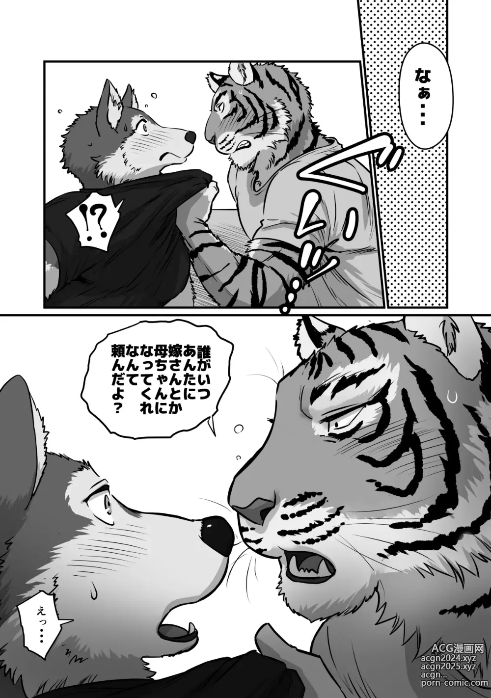 Page 13 of doujinshi Wolf Teacher & Tiger Daddy 2