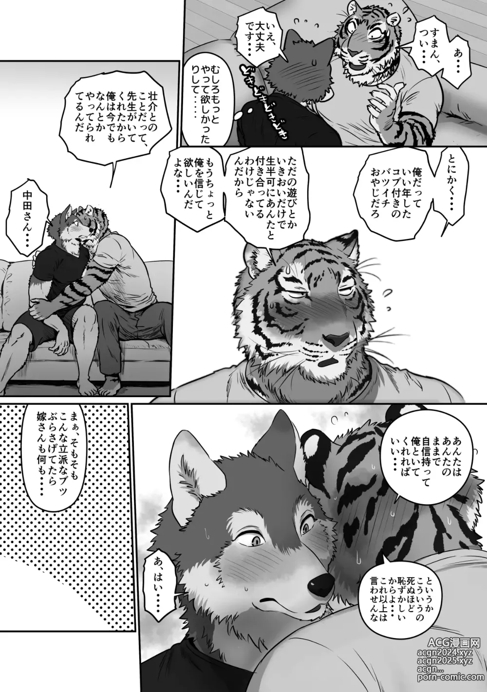 Page 14 of doujinshi Wolf Teacher & Tiger Daddy 2