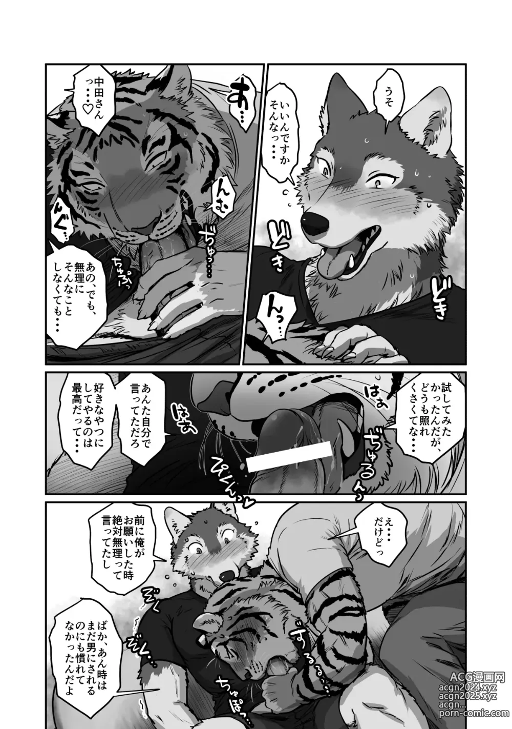 Page 16 of doujinshi Wolf Teacher & Tiger Daddy 2