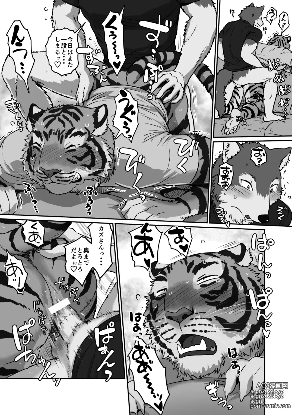 Page 28 of doujinshi Wolf Teacher & Tiger Daddy 2