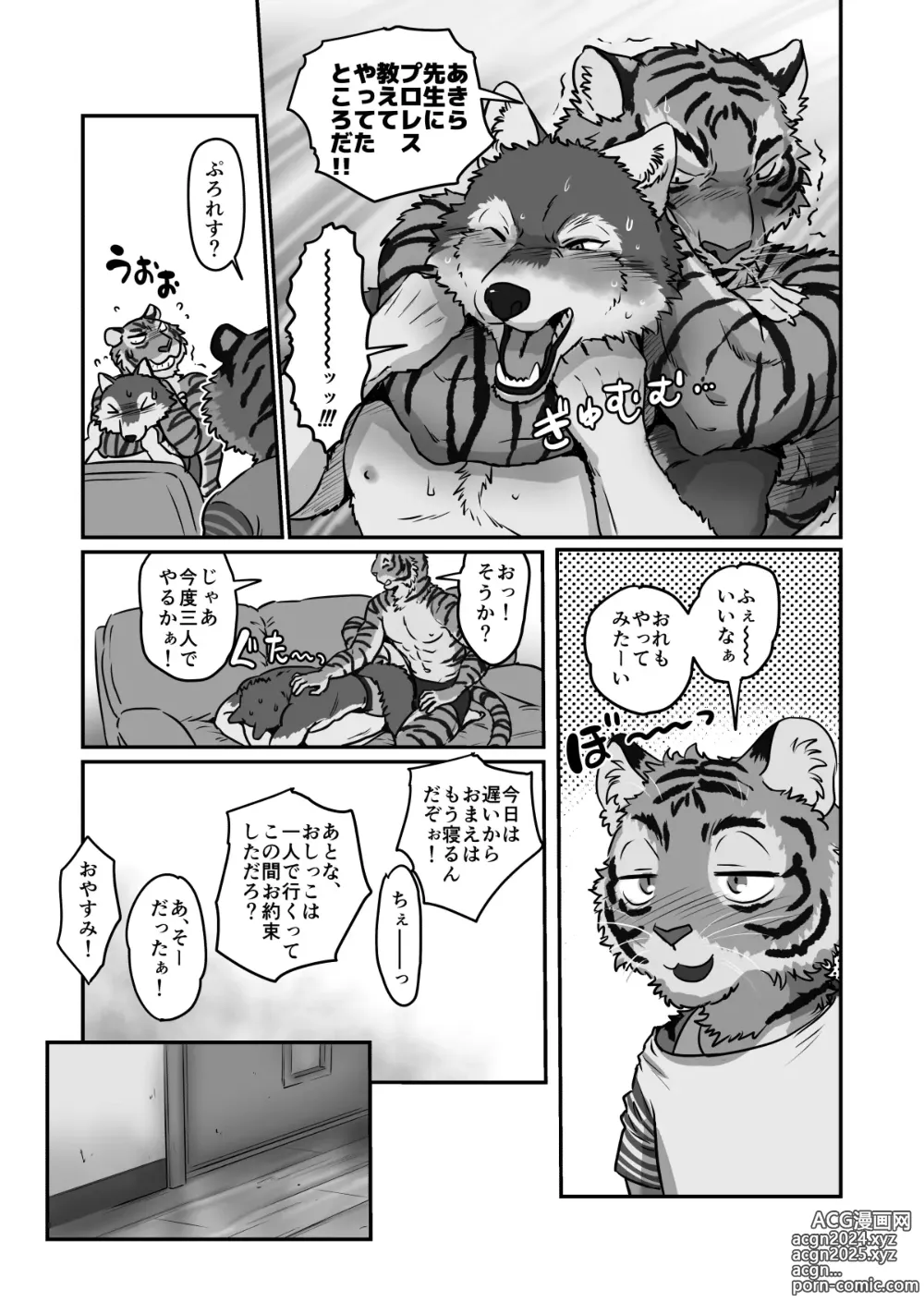 Page 35 of doujinshi Wolf Teacher & Tiger Daddy 2