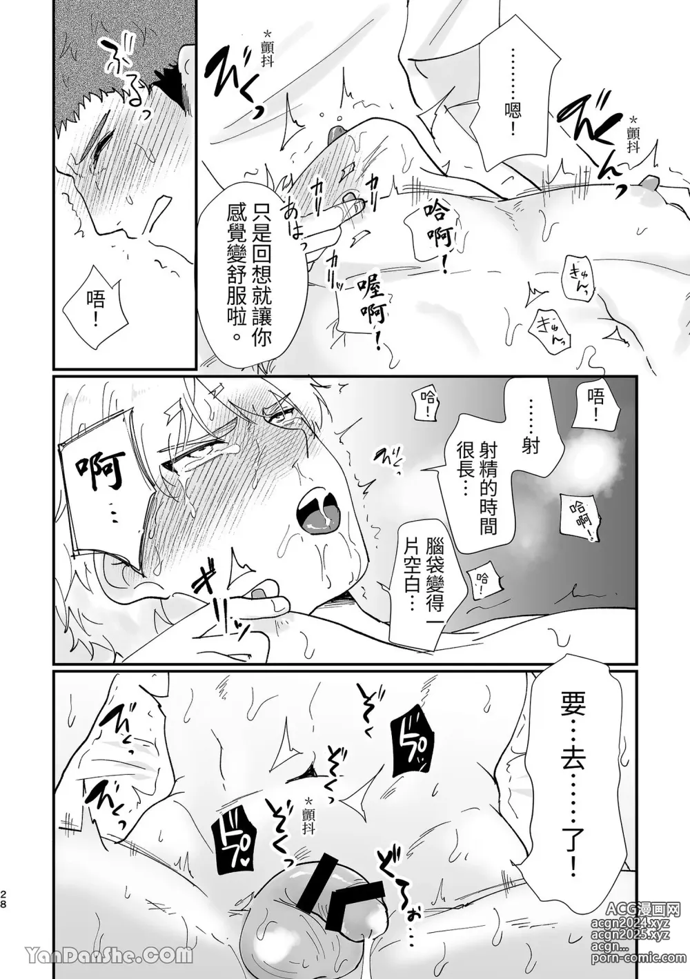 Page 29 of doujinshi Kishi Danchou Series (3) Kishi Danchou no Shittsui