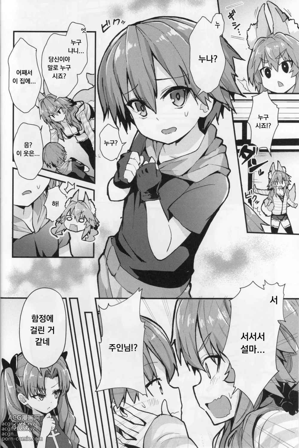 Page 4 of doujinshi Good Oneshota Wife Tamamo-chan