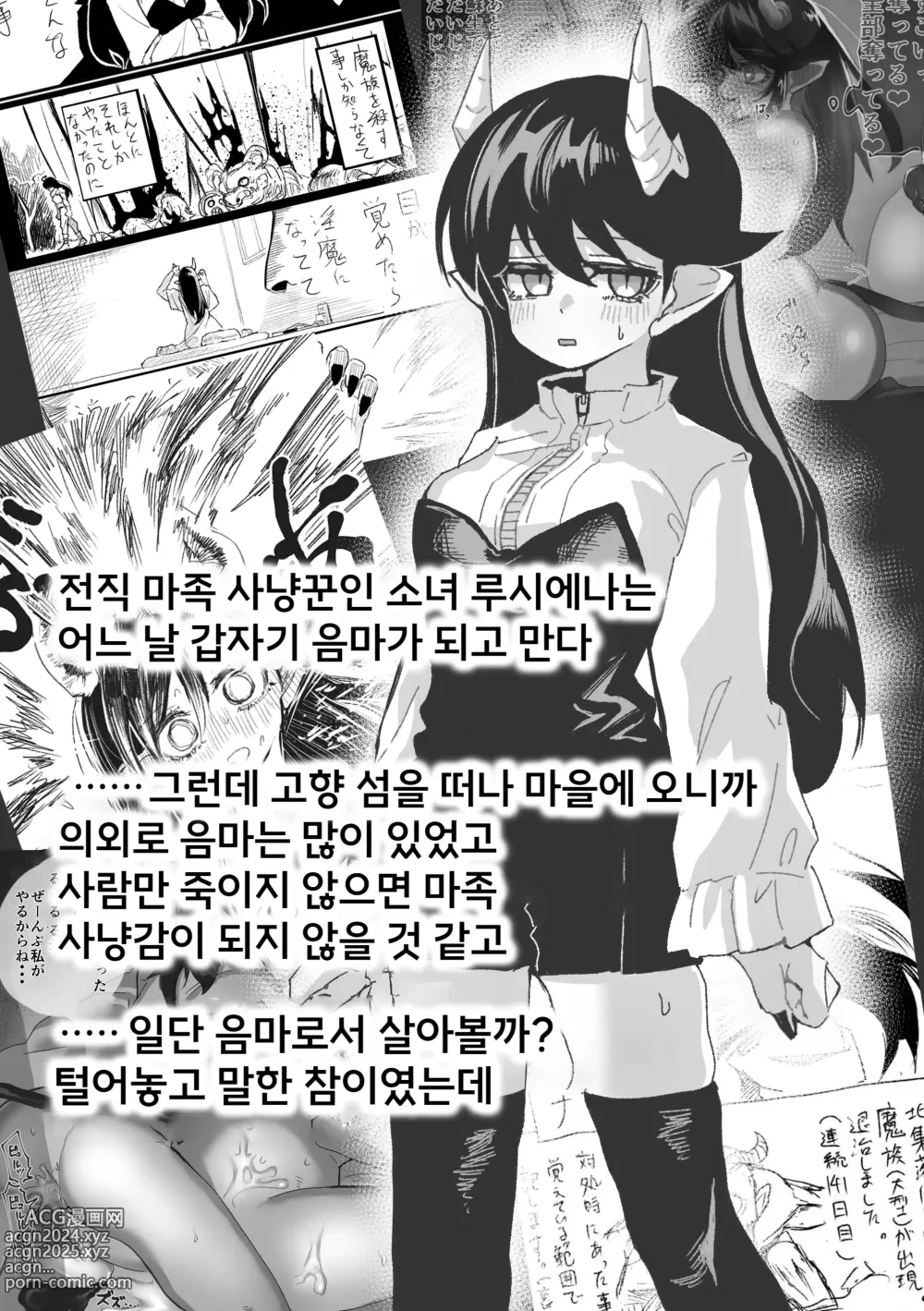 Page 3 of doujinshi 음마가 있는 세계 ~루시에나 분신 하렘편~