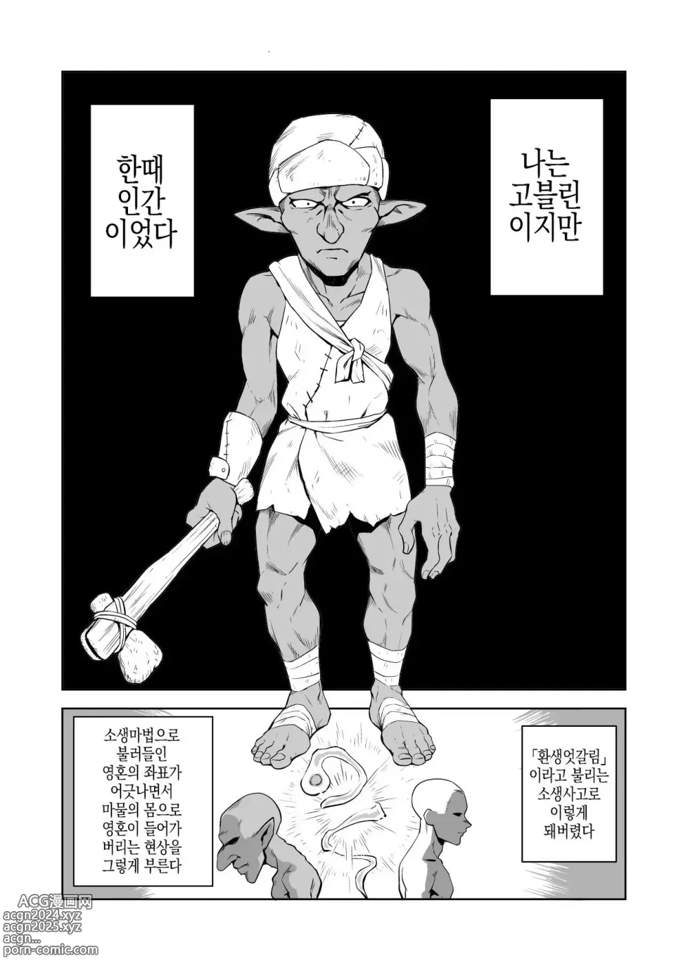 Page 1 of doujinshi 고블린과 여기사