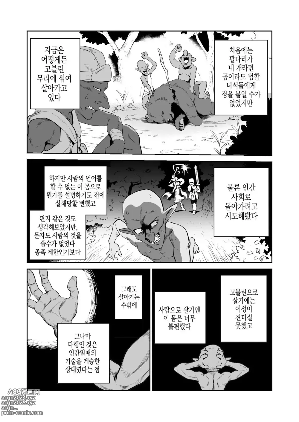 Page 2 of doujinshi 고블린과 여기사