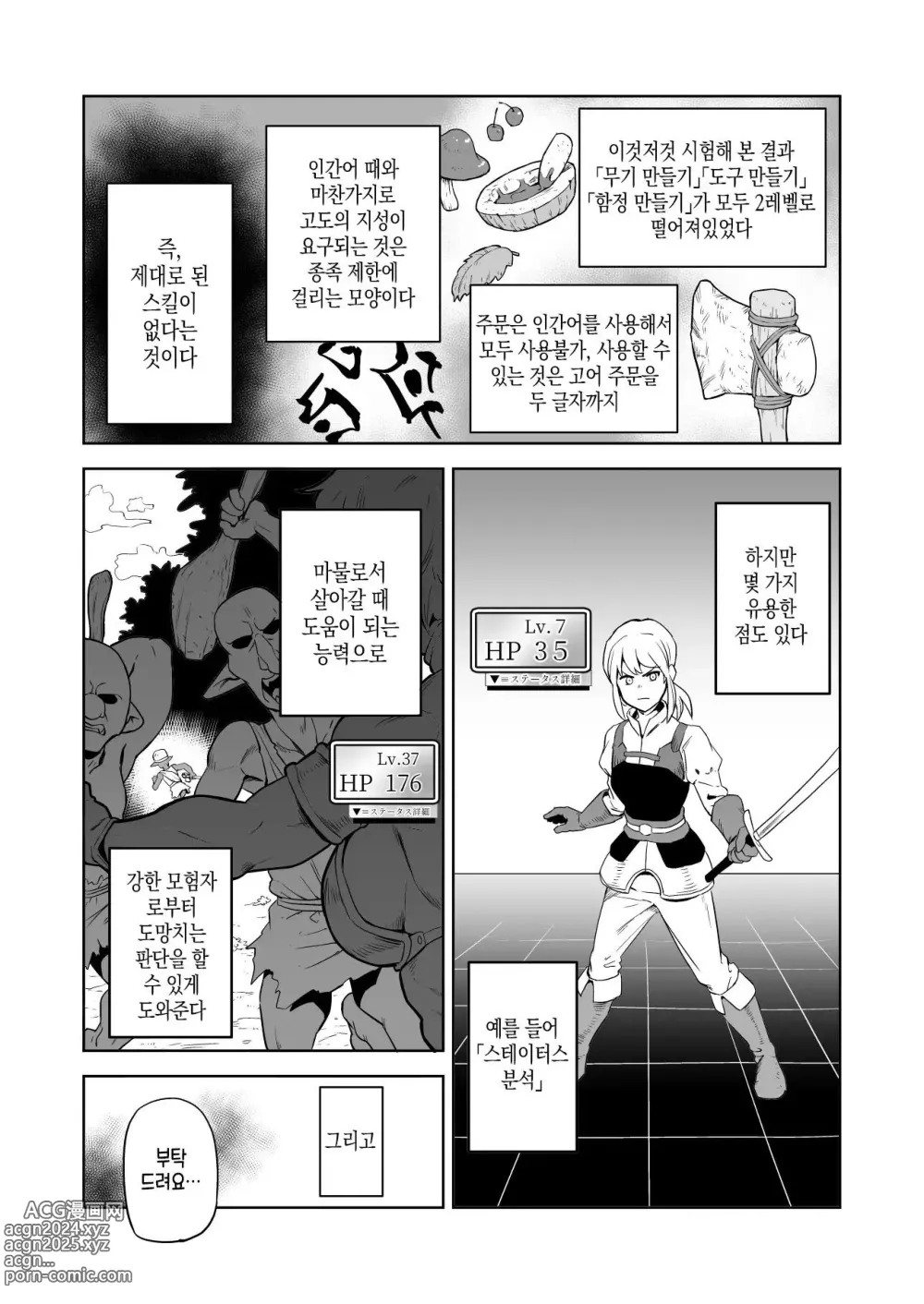 Page 3 of doujinshi 고블린과 여기사