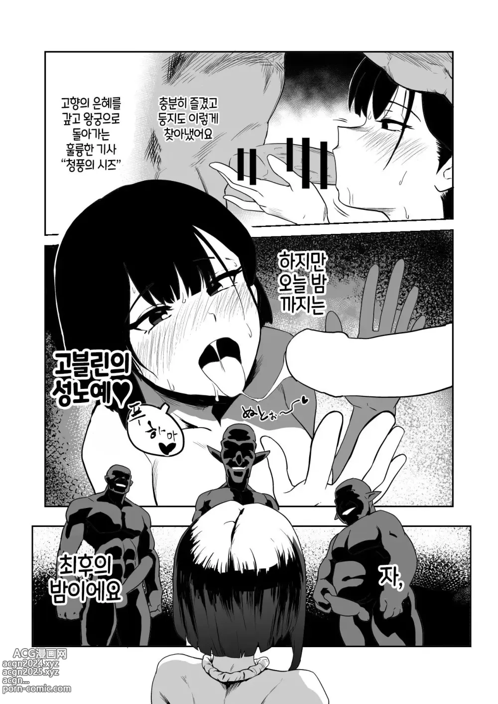 Page 22 of doujinshi 고블린과 여기사