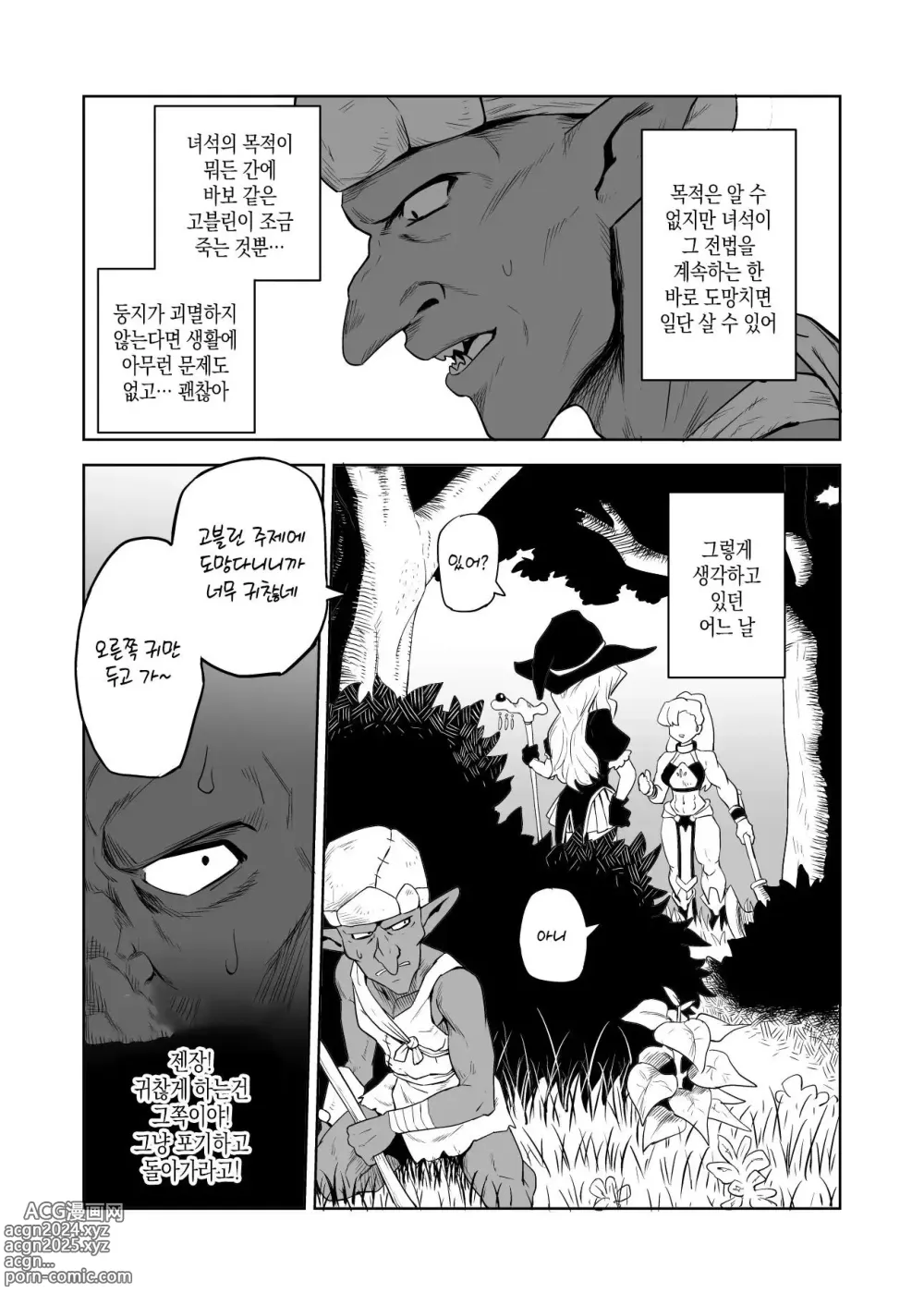 Page 9 of doujinshi 고블린과 여기사