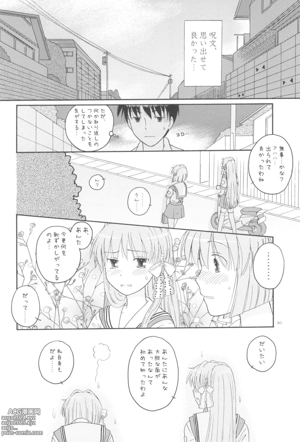 Page 29 of doujinshi Honto no Kimochi