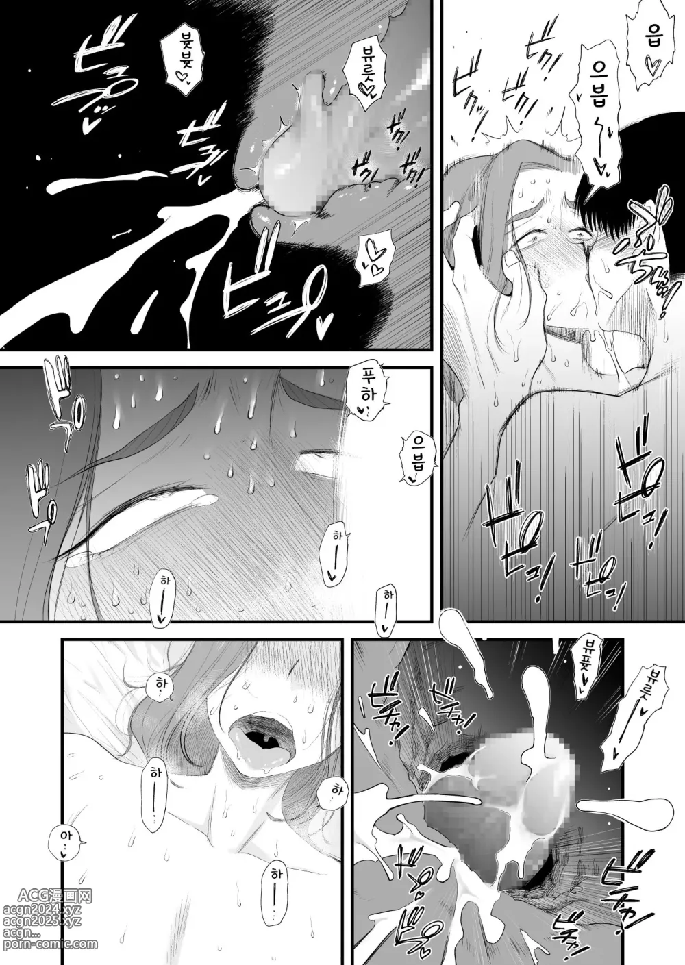 Page 27 of doujinshi 부친 공인! 하세가와 댁의 모자관계 ~부부의 침실에서 질내사정편~