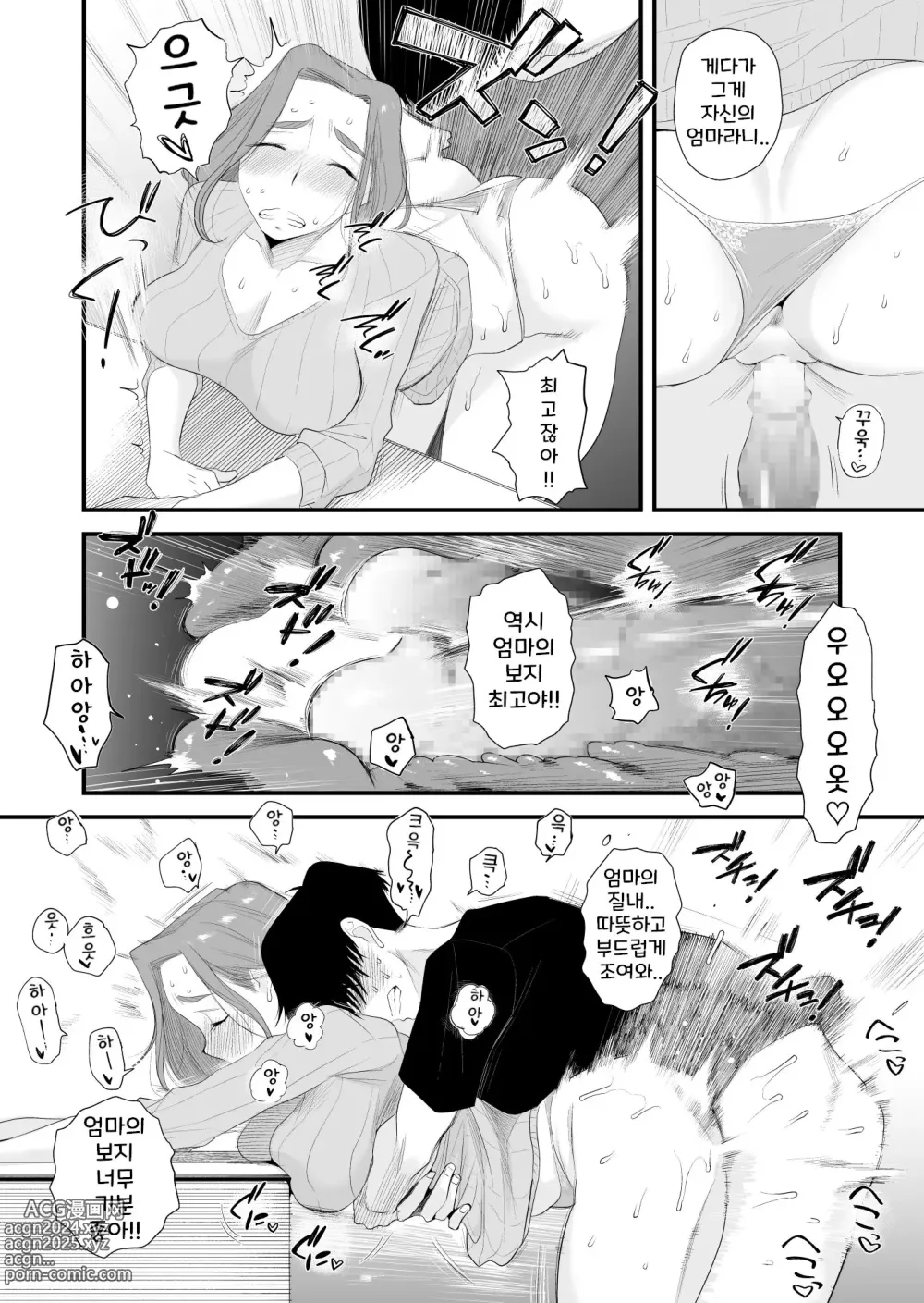 Page 31 of doujinshi 부친 공인! 하세가와 댁의 모자관계 ~부부의 침실에서 질내사정편~