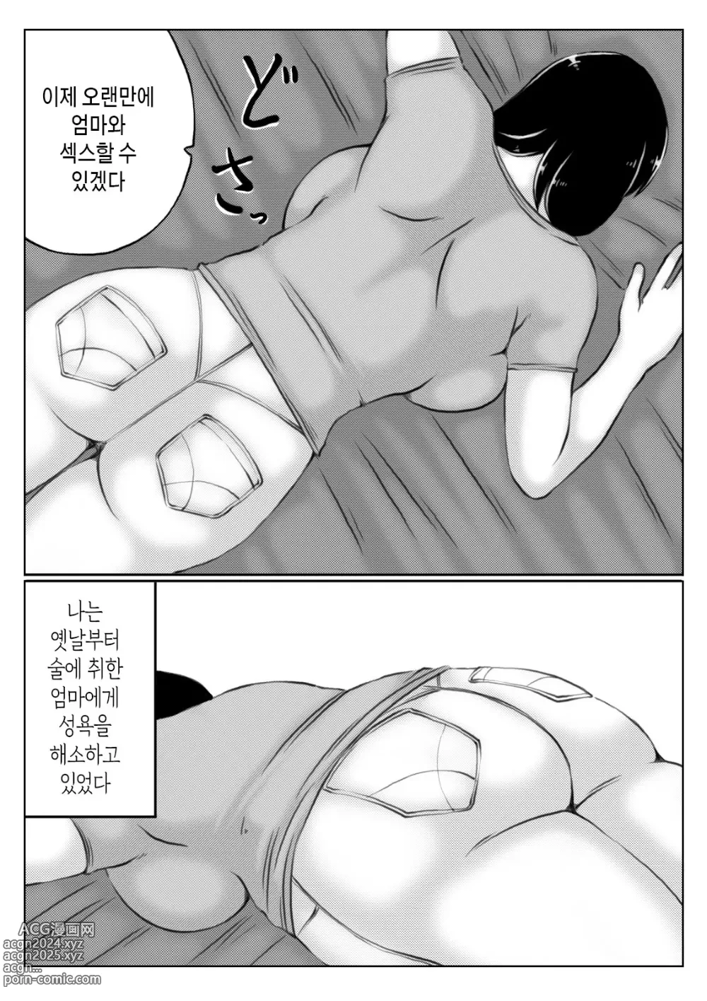 Page 5 of doujinshi 엄마와 술과 아들 1~2