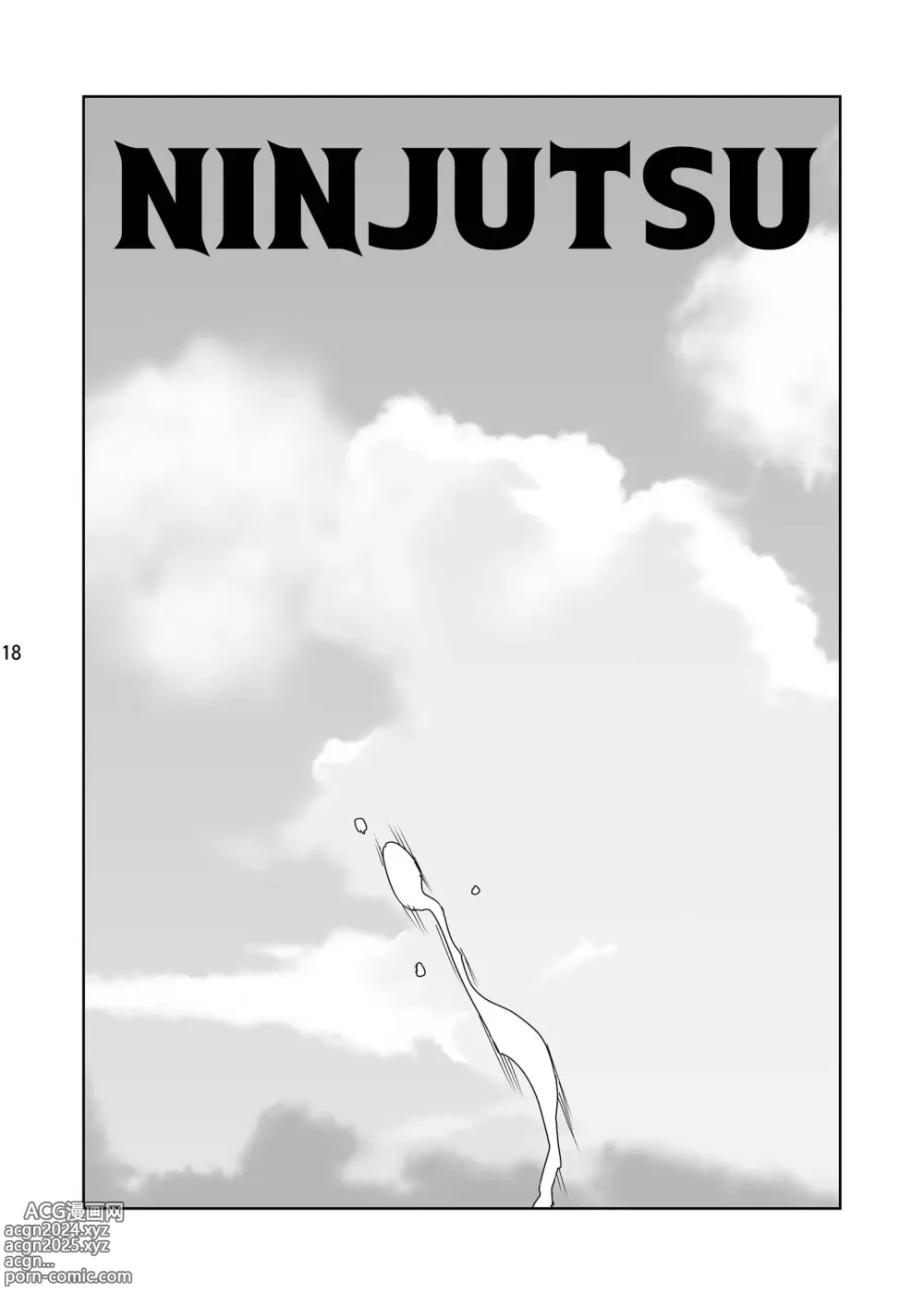 Page 19 of doujinshi NINJUTSU