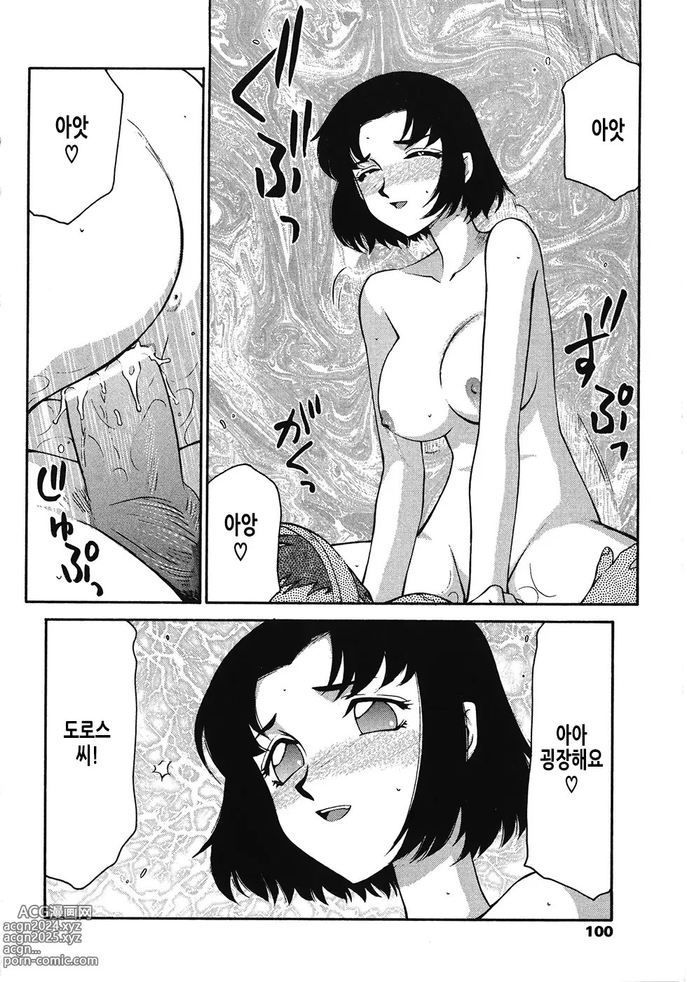 Page 101 of manga 성왕녀 펠리시아 하편