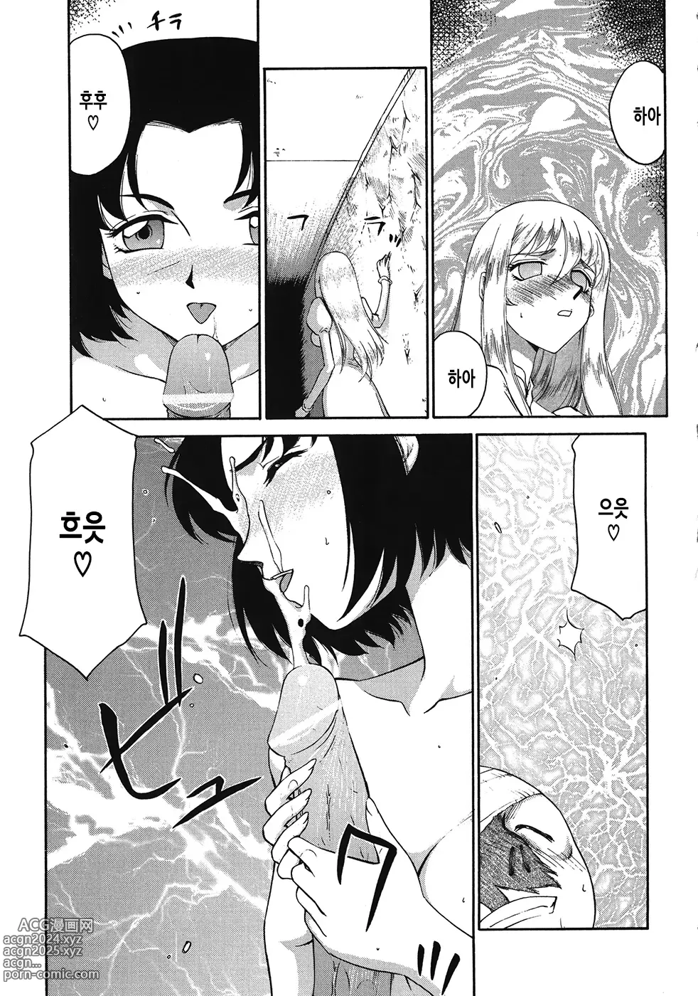 Page 106 of manga 성왕녀 펠리시아 하편