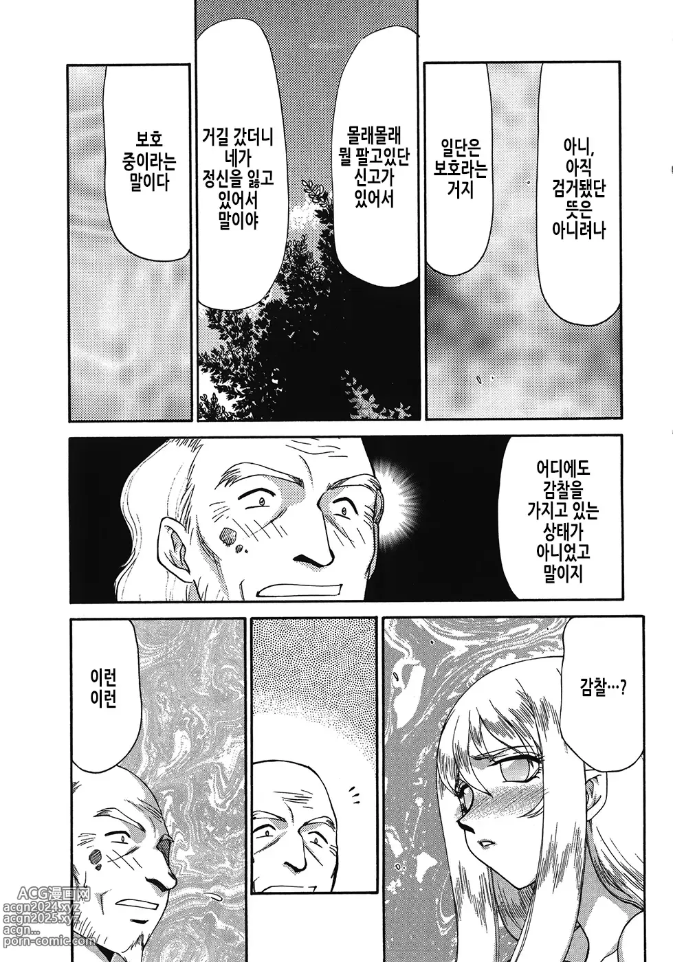 Page 12 of manga 성왕녀 펠리시아 하편