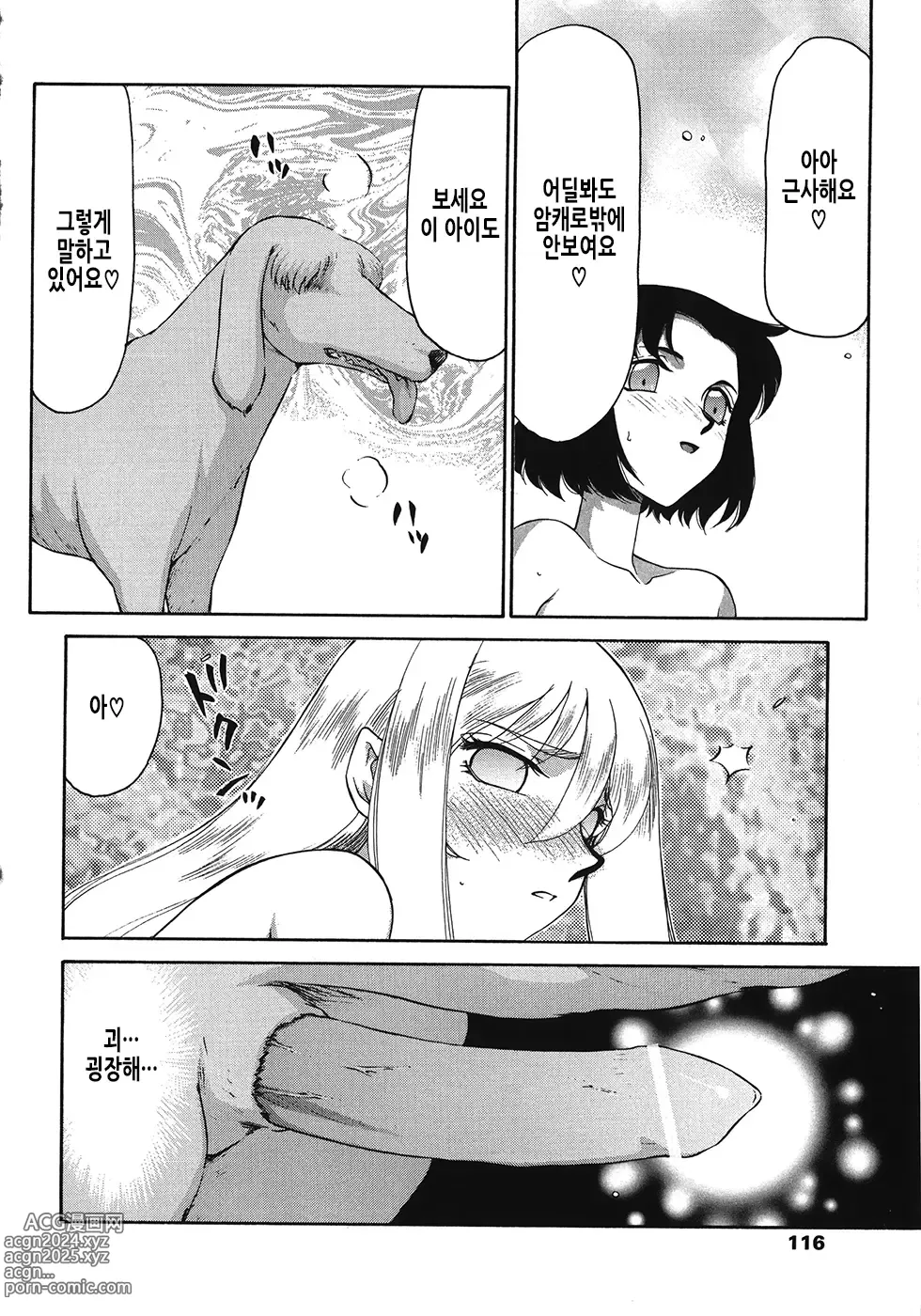 Page 117 of manga 성왕녀 펠리시아 하편