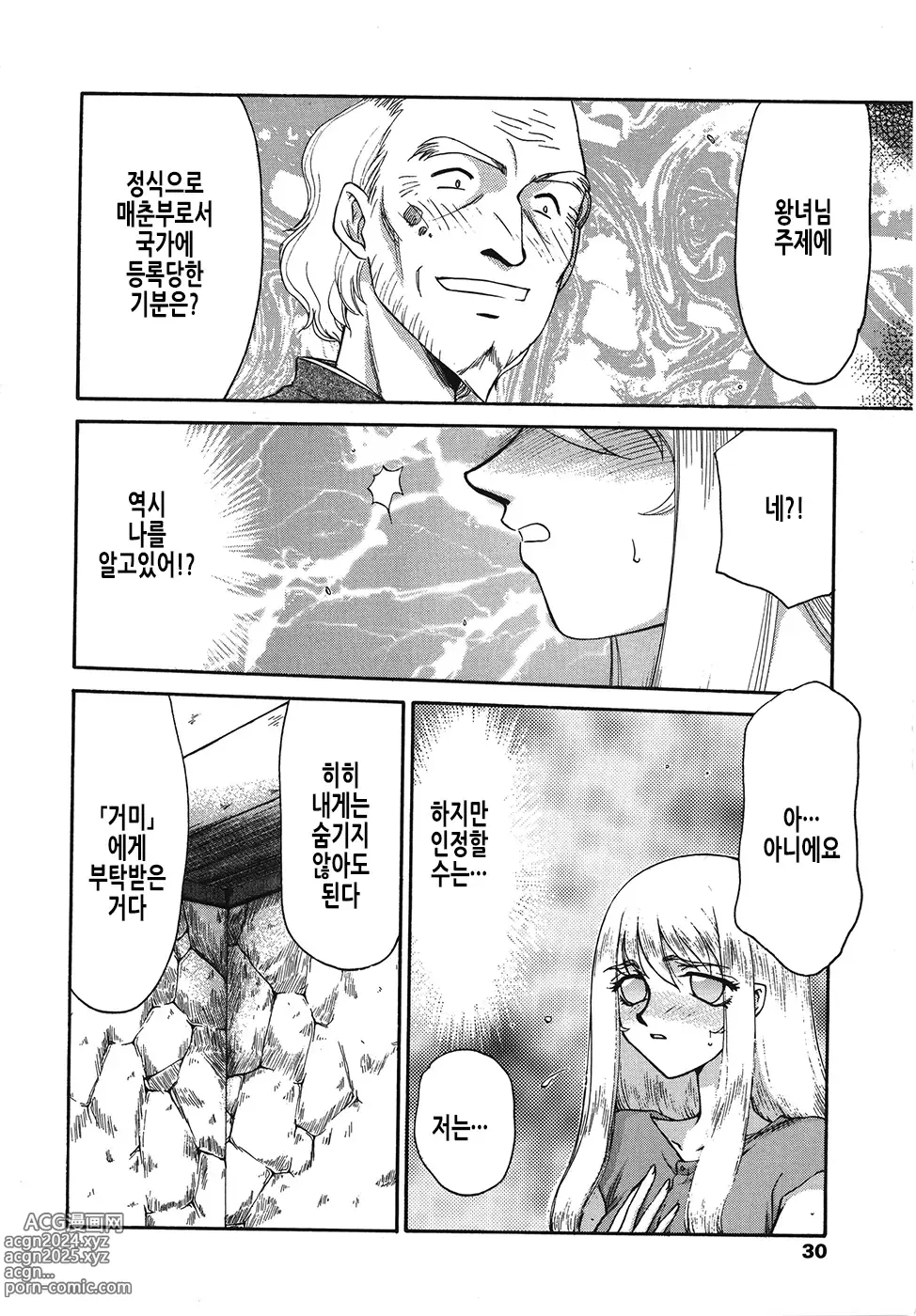 Page 31 of manga 성왕녀 펠리시아 하편