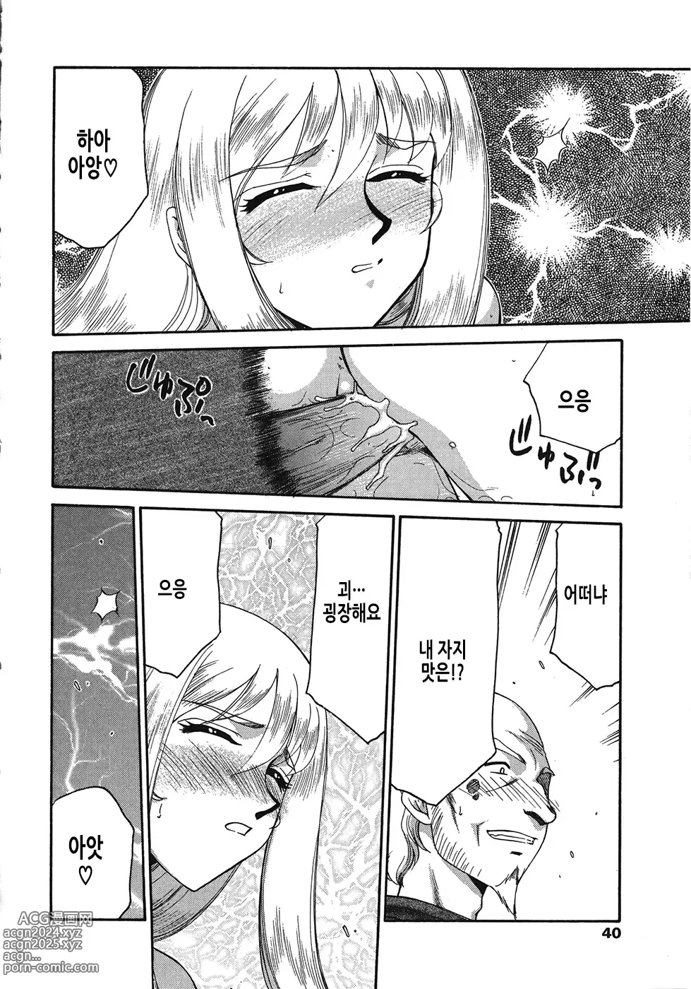 Page 41 of manga 성왕녀 펠리시아 하편