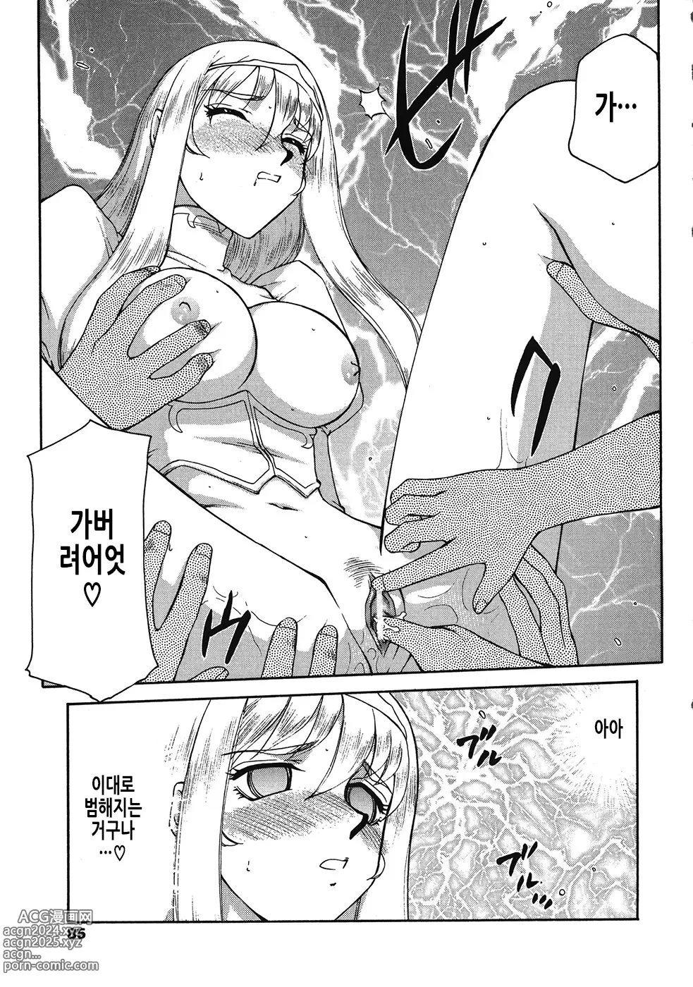 Page 86 of manga 성왕녀 펠리시아 하편