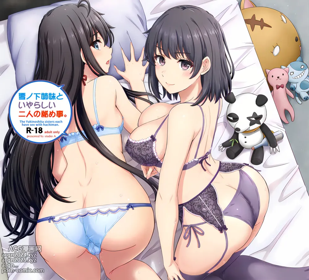 Page 1 of doujinshi Yukinoshita Shimai to Iyarashii Futari no Himegoto. - The Yukinoshita sisters each have sex with hachiman.