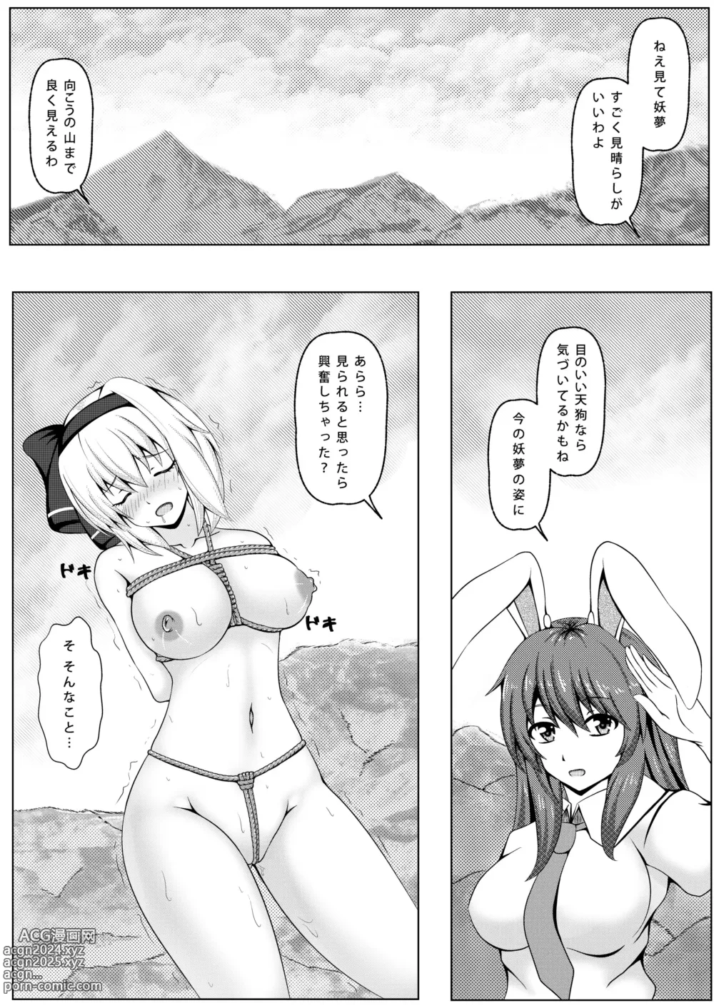 Page 2 of doujinshi Usagi to Niwashi no Abunai Asobi