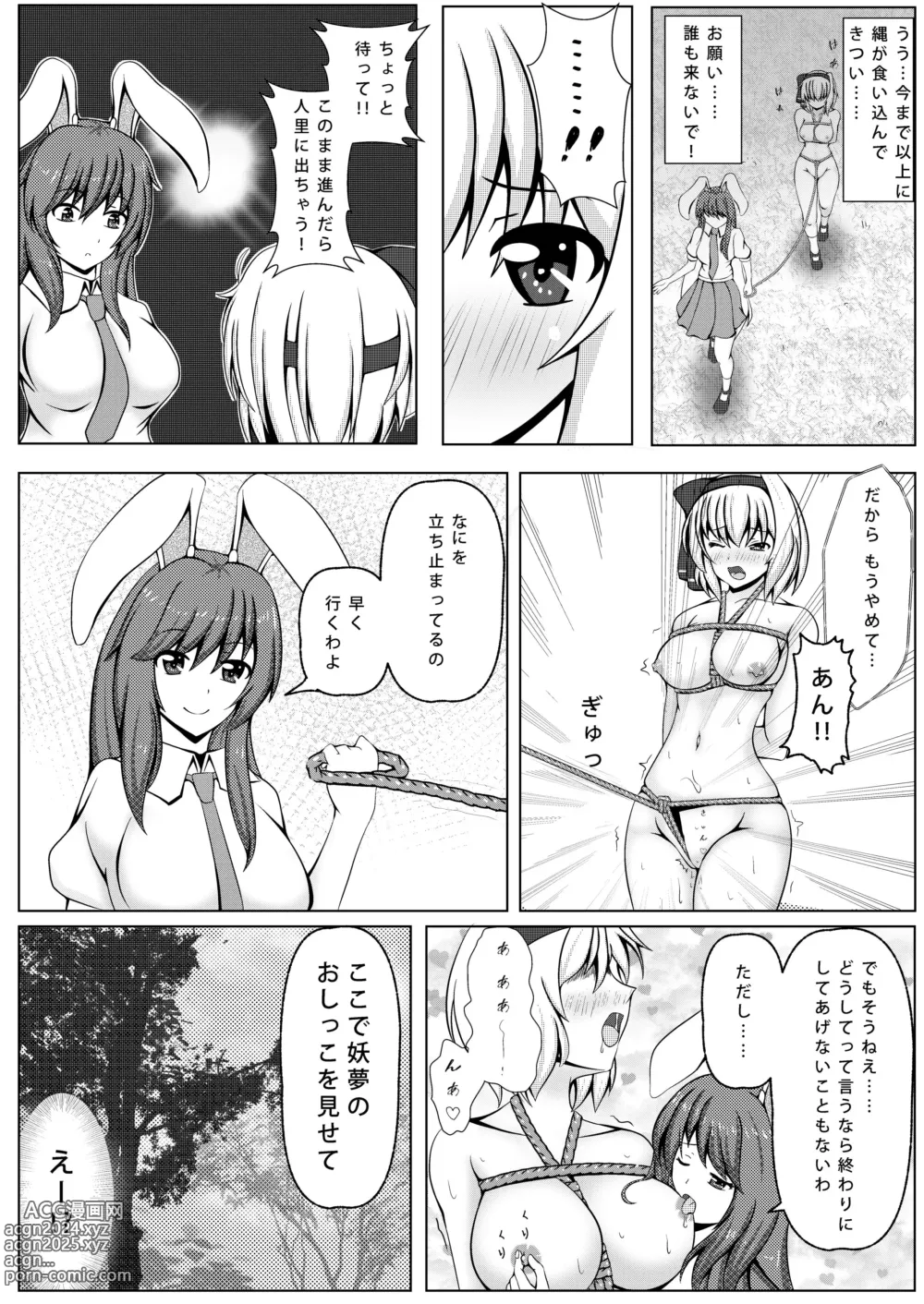 Page 8 of doujinshi Usagi to Niwashi no Abunai Asobi