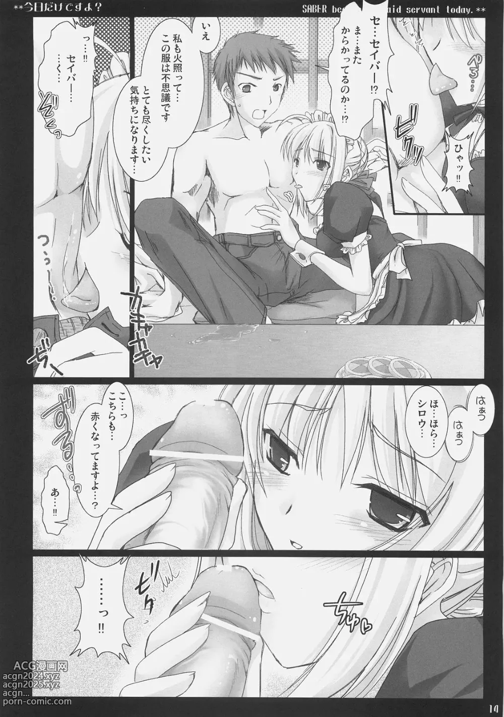 Page 13 of doujinshi Kyou dake desu yo?