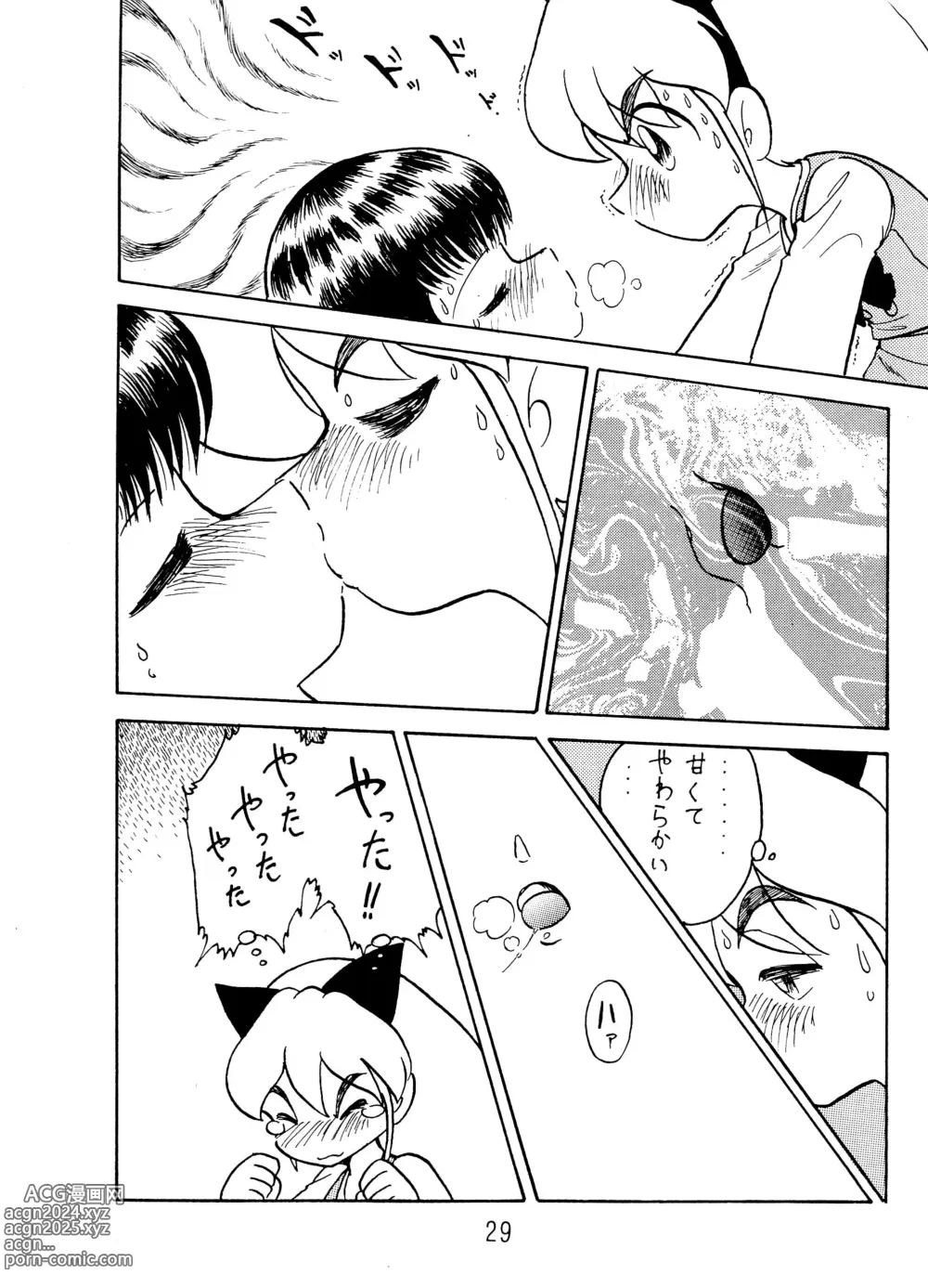 Page 29 of doujinshi ANNA...