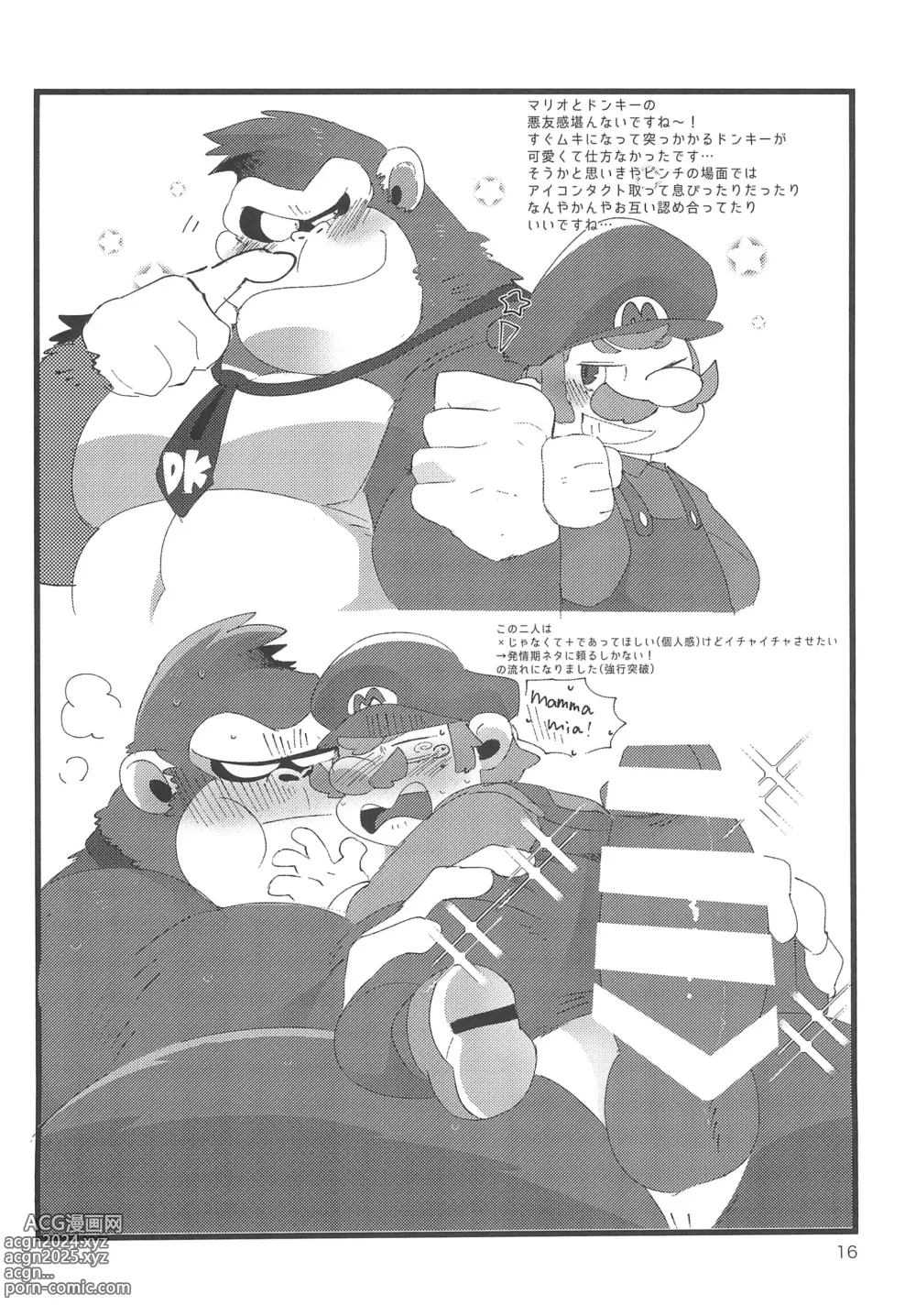 Page 16 of doujinshi DK Hon!