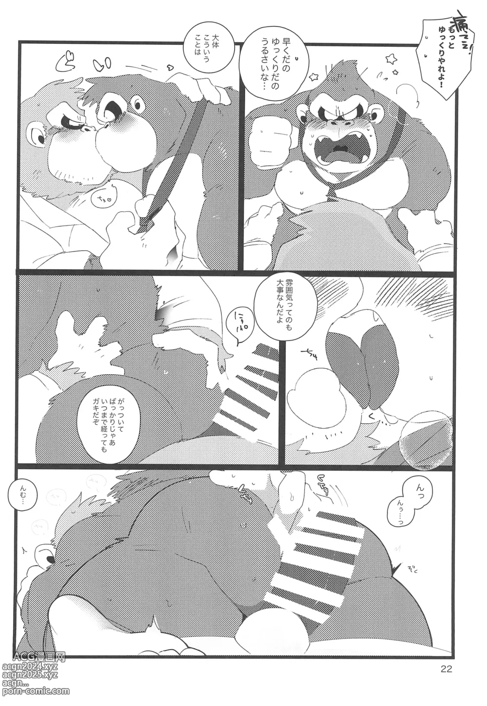 Page 22 of doujinshi DK Hon!