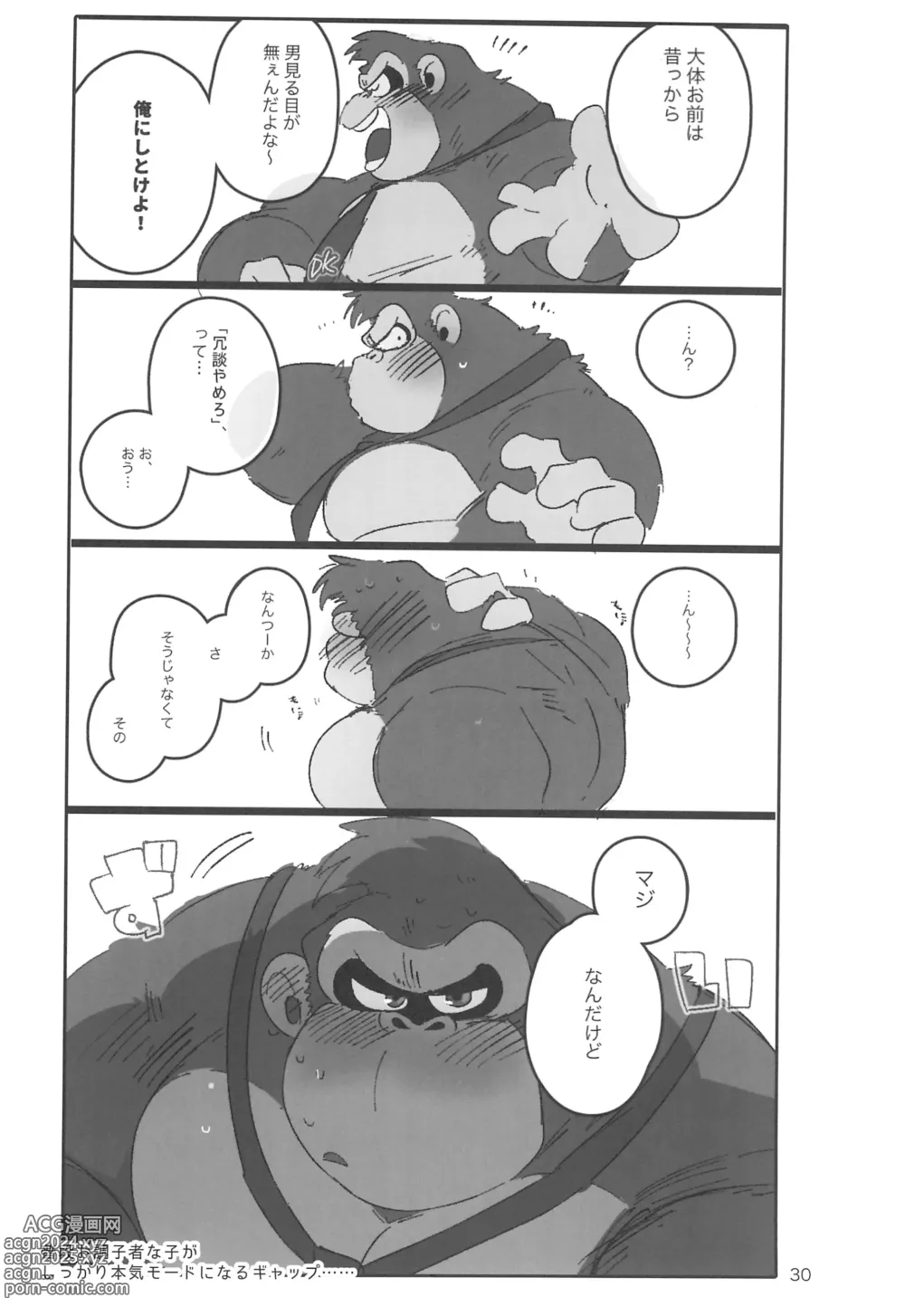 Page 30 of doujinshi DK Hon!