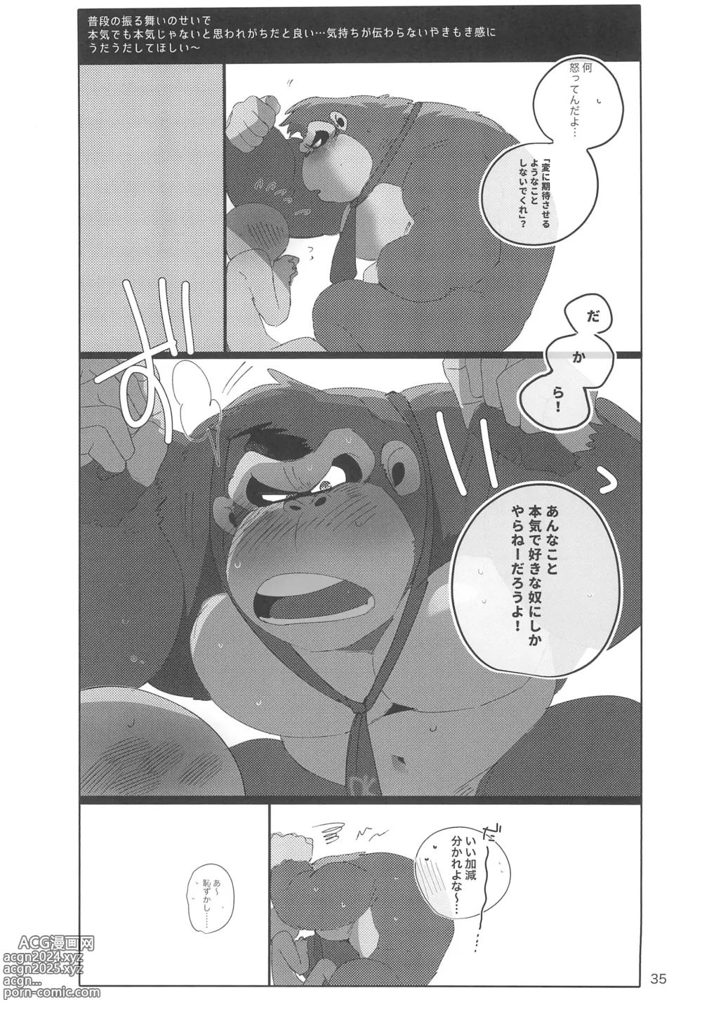 Page 35 of doujinshi DK Hon!